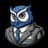 BizOwl Mascot